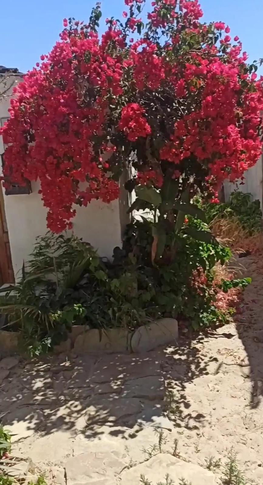 Apartment Seaside Double With Private Kitchen & Bathroom Algeciras